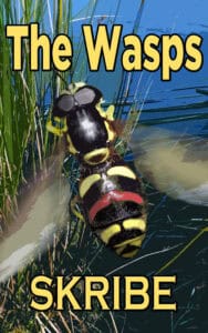 The Wasps now available on Nook, Kobo and Smashwords