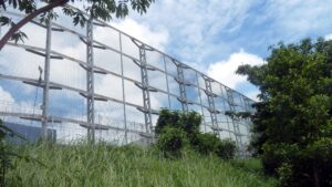 Singapore’s Kaiju Farm