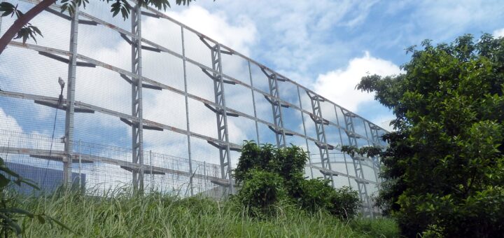 A massively high fence. What is it protecting? Singapore's Kaiju Farm?