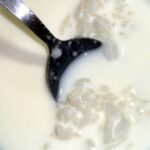 Rice, milk, and sugar. A simple dessert Asians despise.