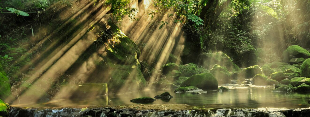 A waterfall surrounded by green forest with streaks of sunlight dappling the water.