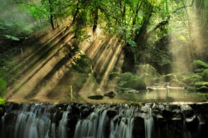 A waterfall surrounded by green forest with streaks of sunlight dappling the water.