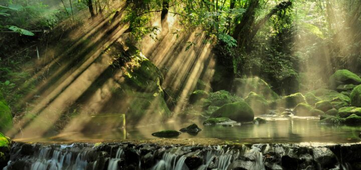 A waterfall surrounded by green forest with streaks of sunlight dappling the water.