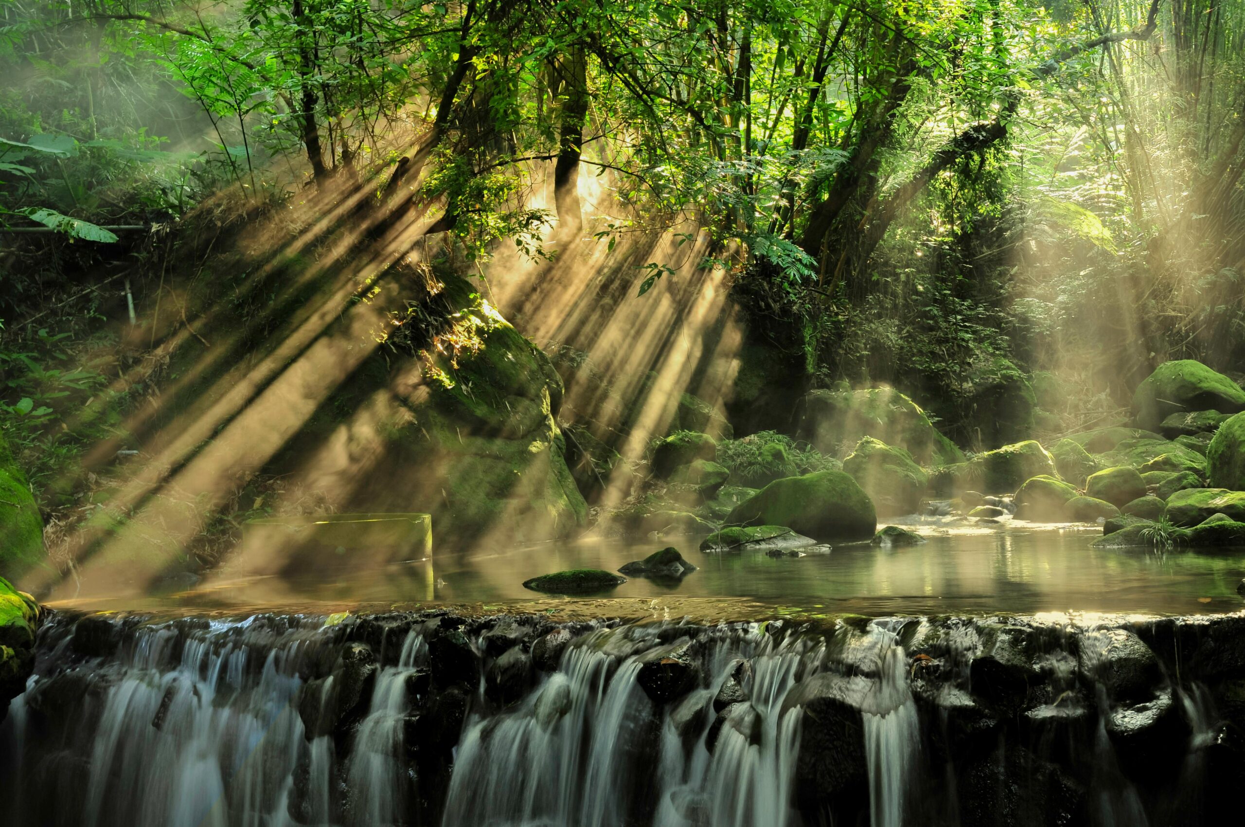 A waterfall surrounded by green forest with streaks of sunlight dappling the water.