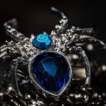 A jewelled spider